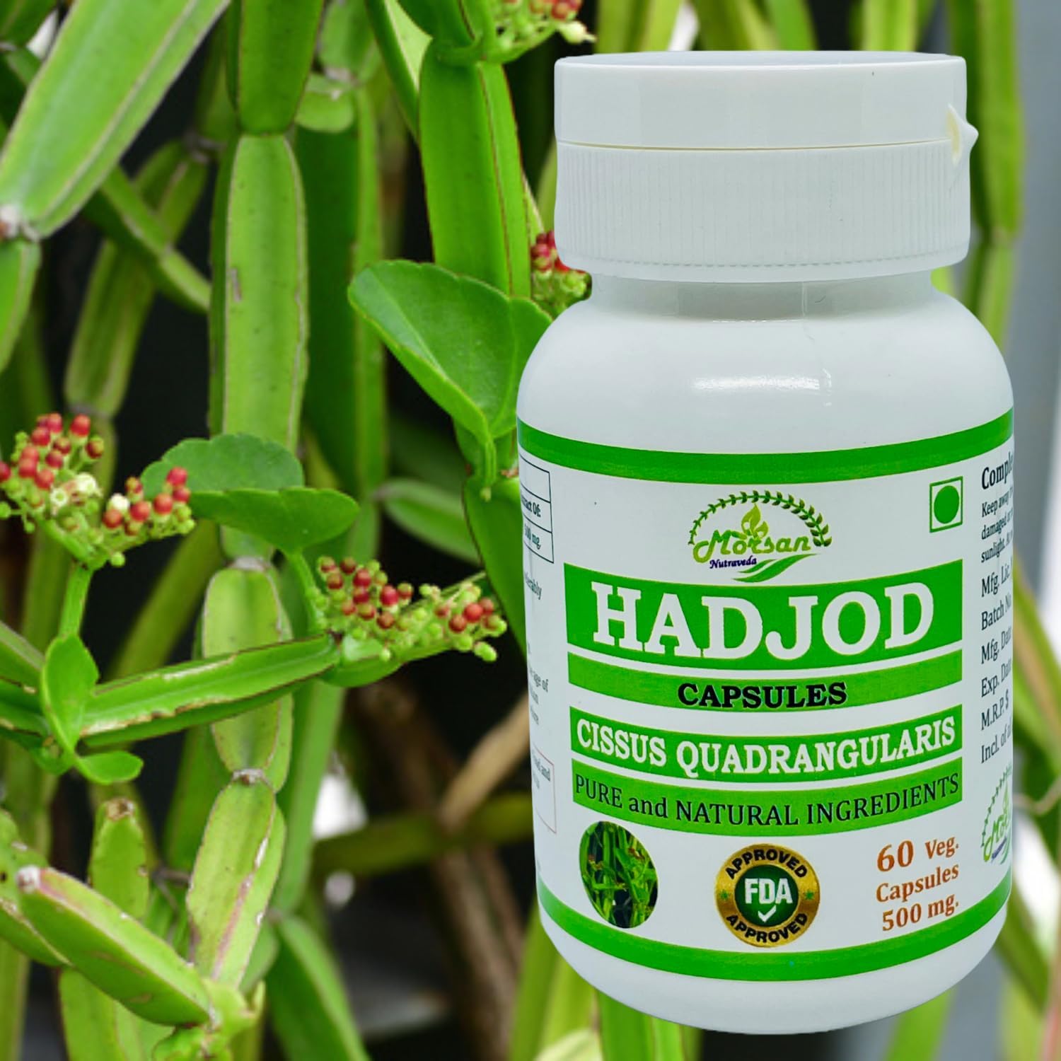 Hadjod (Cissus Quadrangularis) for Optimal Bone and Joint Health | 500 mg per Serving | 60 Vegetarian | Natural Support for Wellness | Non-GMO (4 Bottles of 60)
