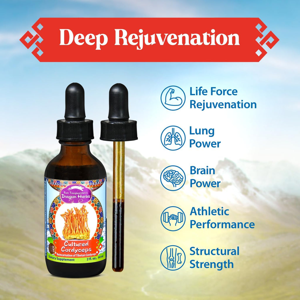 Dragon Herbs Cultured Cordyceps Drops Tibetan Wild Strain • Mushroom Supplement • Deep Rejuvenation, Lung & Brain Power, Stamina • Triple Extractions • Cordycepin • Vegetarian, 2 fl oz 60ml • Tincture