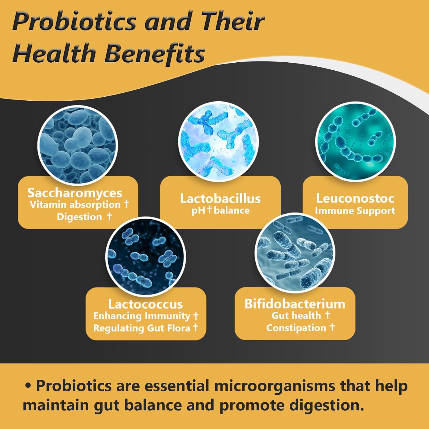 Probiotics with Prebiotics for Men and Women - 35 Strains Organic Probiotics 100 Billion CFU for Gut & Digestive Health, Vegan Acidophilus Probiotic Supplement, Non-GMO Raw Probiotic 60 Capsules