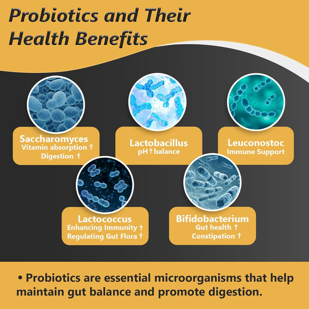 Organic Probiotics for Women & Men, 100 Billion CFU Probiotic for Digestive, Gut & Immune Health - with Prebiotics, Bioflavonoids & Digestive Enzyme, 35 Strains Raw Probiotic Supplement, 180 Caps