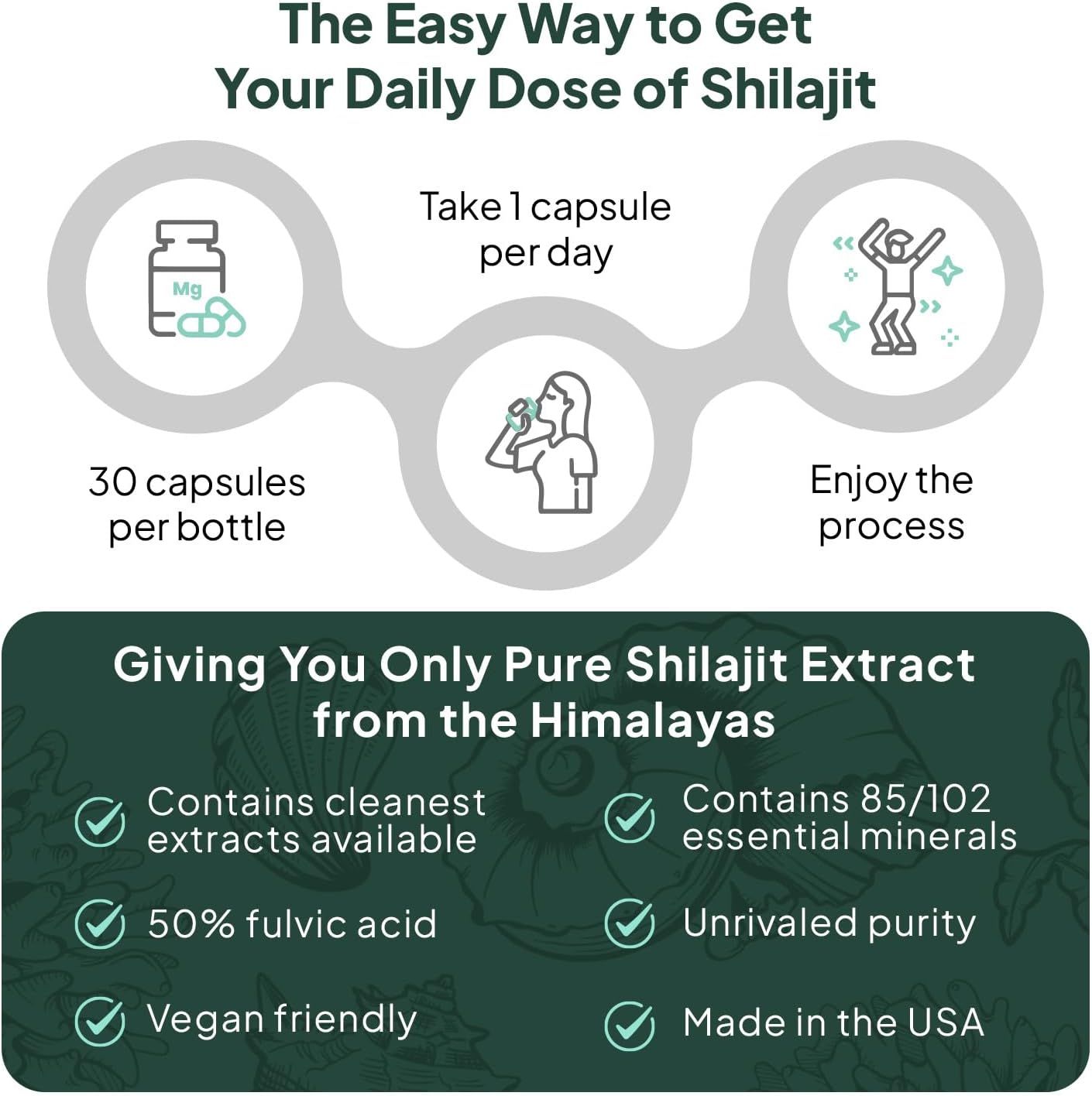 One-Per-Day Shilajit for Men and Women - Natural Shilajit Supplement for Age-Defying, Bone Strength, Hormone Support and More - 30 Shilajit Capsules