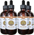 Suma Liquid Extract, Suma (Pfaffia Paniculata) Tincture, Herbal Supplement, Hawaii Pharm, Made in USA, 4x4 fl.oz
