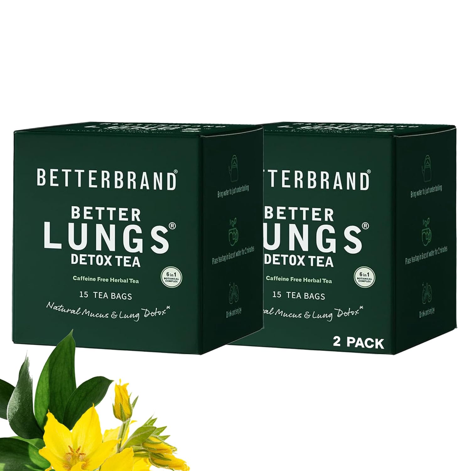 Betterbrand Mullein Tea Bags for Lung Detox - Respiratory Support with Thyme, Elderberry, Ginseng, Ginger, Caffeine Free Herbal Blend - 15 Tea Bags (Pack of 2)