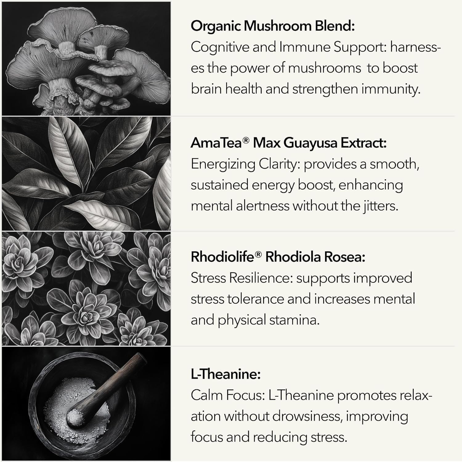 Organic Mushroom Supplement with Cognitive Nootropic Mushroom Blend - Lion’s Mane, Cordyceps, Reishi, Chaga, Maitake + Amatea Max, Rhodiolife Rhodiola Rosea, L-Theanine + B-Vitamins, 60-Day Supply