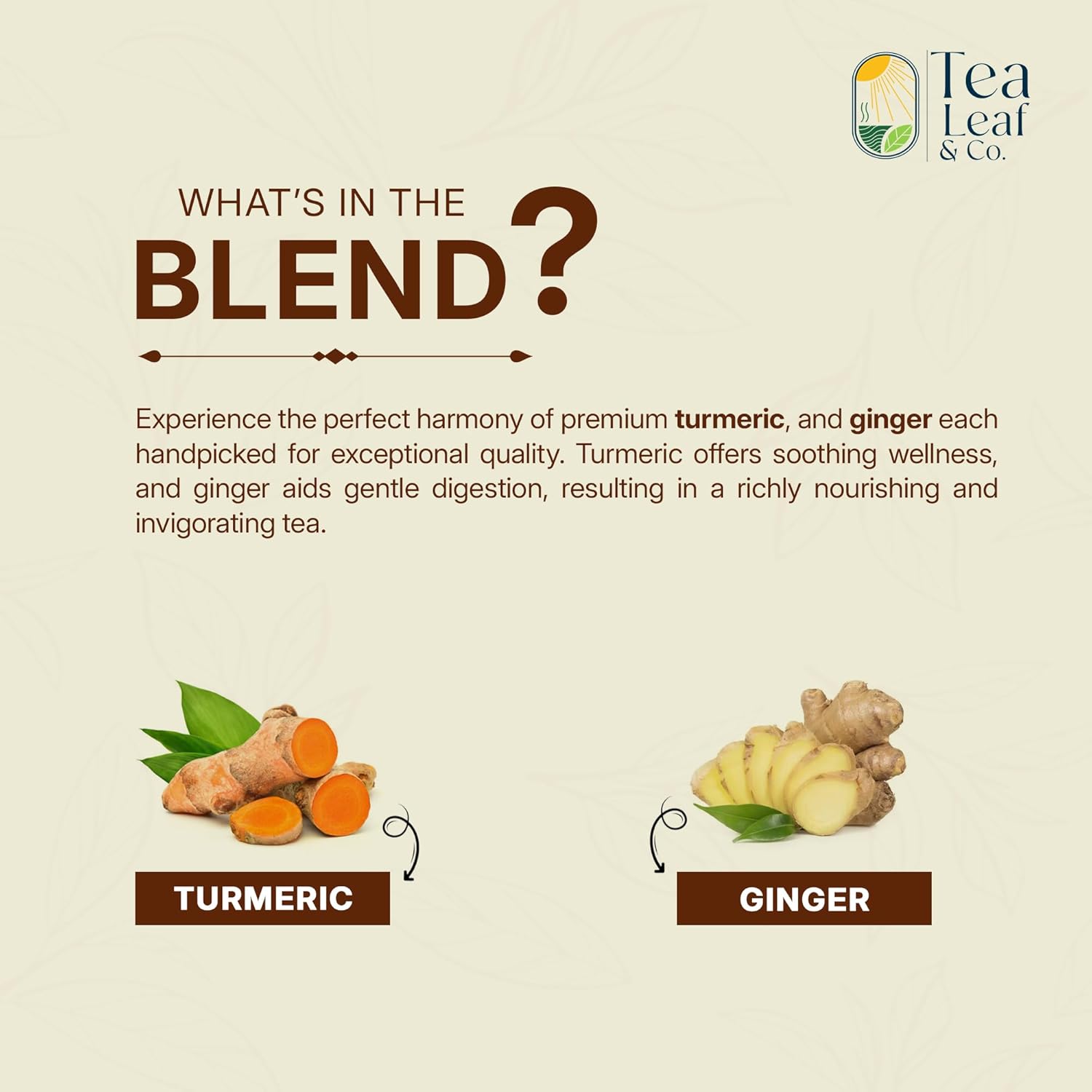 Tealeaf & Co. Turmeric Ginger Herbal Tea - Organic Ginger Turmeric Tea Bags with Fresh Herbs and Spices - Low Caffeine & Gluten Free - 100 Teabags (7.055oz/200gm)