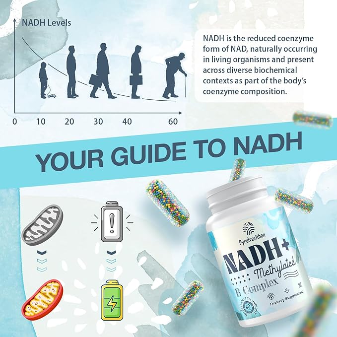 NADH Supplement with Methylated B Complex | High Absorption NAD+ Supplement Alternative for Women & Men | Cellular Energy and Mental Focus – 120 Veg Capsules