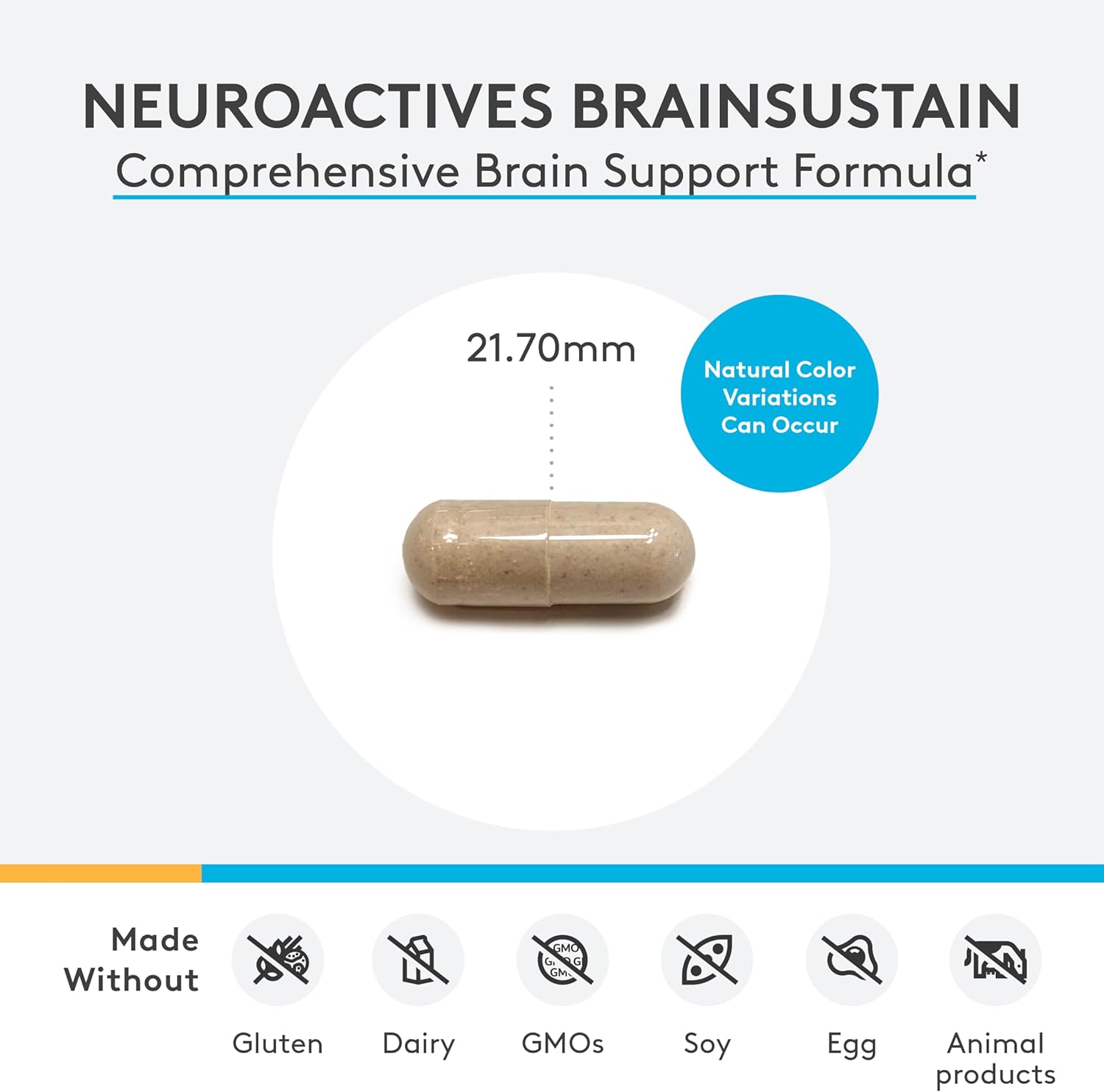 XYMOGEN NeuroActives BrainSustain - Brain Supplements for Memory and Focus Support - Brain Health Supplements for Adults - Vegan, Gluten Free + Non GMO (240 Capsules)