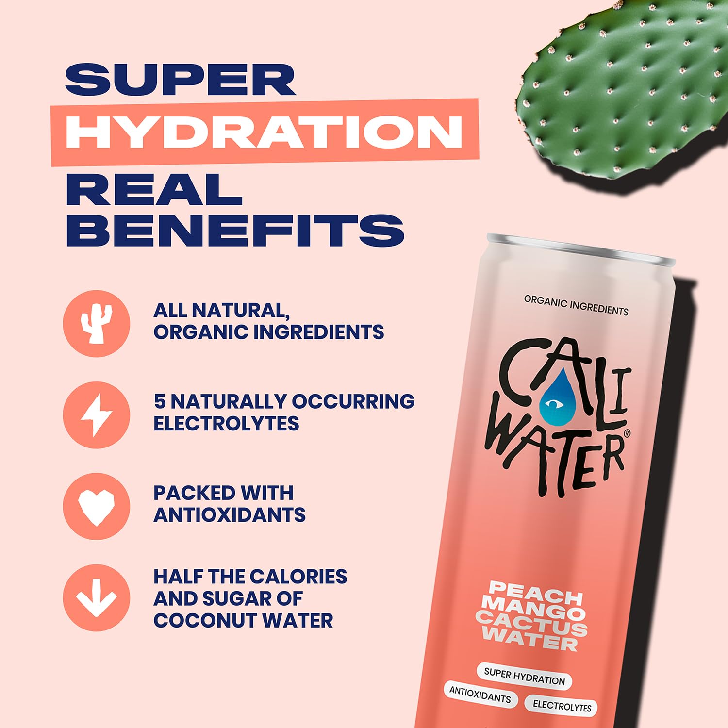 Caliwater - Organic Cactus Water - Peach Mango - 6g Sugar, 30 Calories - Coconut Water Alternative - Natural Plant Based Hydration - Skin Care, Electrolyte Drinks - Flavored Water - 12 Cans