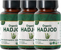 Hadjod 120 Tablets – USDA Organic Cissus Quadrangularis – Supports Joint Strength & Mobility* - Pack of 3
