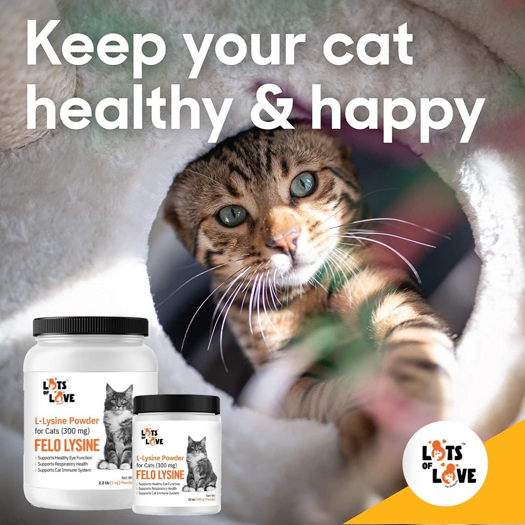 FELO LYSINE - L-Lysine Powder for Cats 300 mg (Thomas Pet Earlier), 1 Kg or 2.2 lb