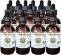 Green Coffee Alcohol-Free Liquid Extract, Green Coffee (Coffea Arabica) Dried Bean Glycerite Hawaii Pharm Natural Herbal Supplement 15x4 oz