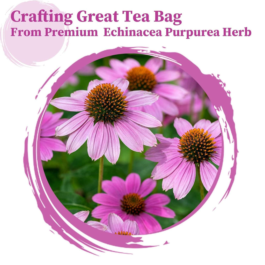 FullChea - Echinacea Tea Bags, 50 Count, 2g/bag - Premium Echinacea Purpurea Herb - Non-GMO - Caffeine-free - Aid Digestion & Boost Immunity