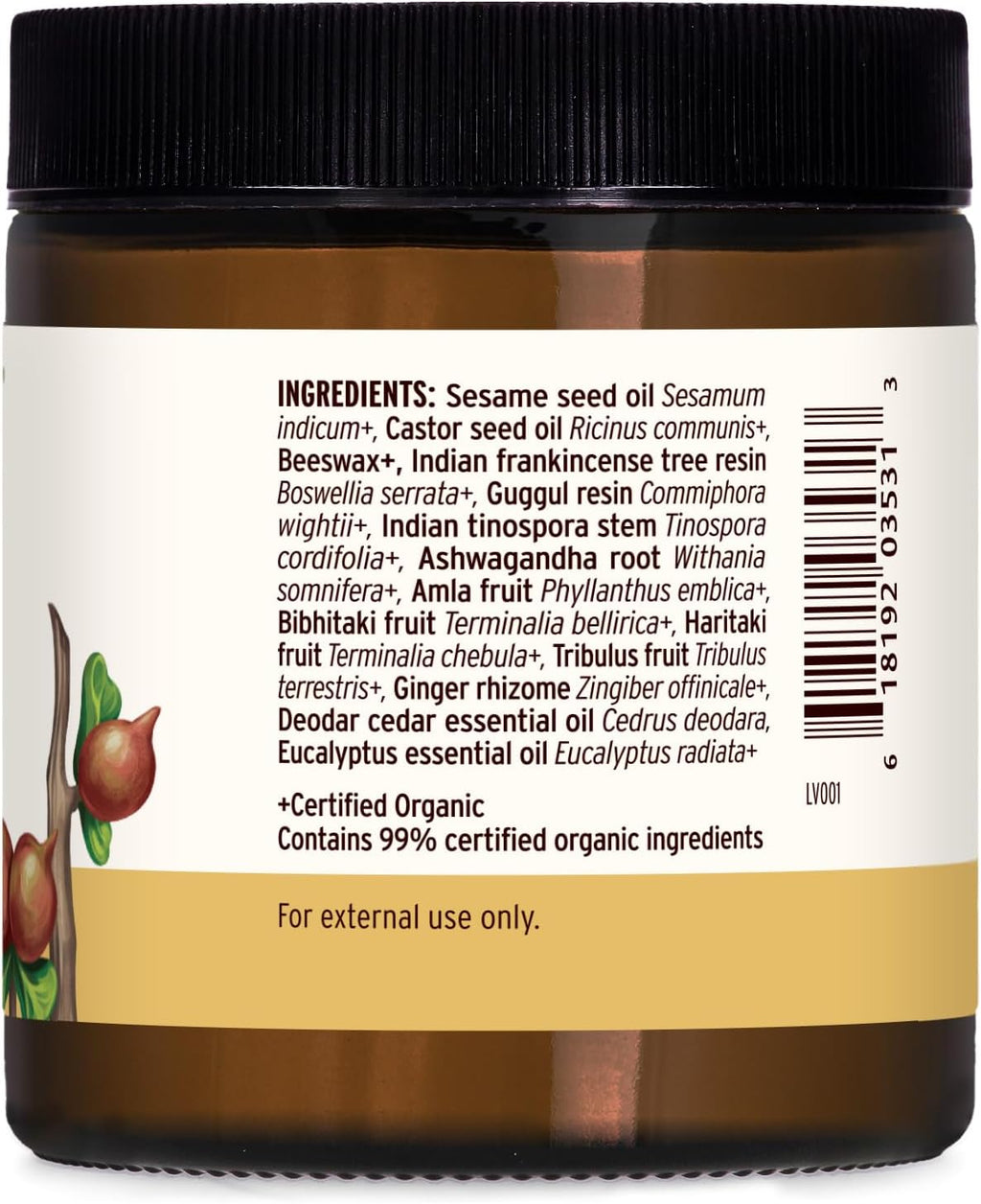 Banyan Botanicals Joint Balm – Organic Balm for Joints with Boswellia and Guggulu – for Supporting Comfortable Joints and Overall Joint Health – 4 oz – Non-GMO Sustainably Sourced Petroleum Free