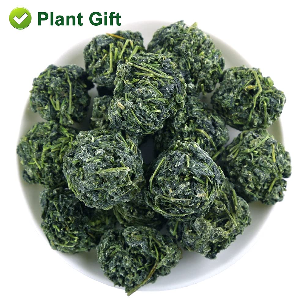PlantGift Gynostemma Tea/Jiaogulan Tea 100G/3.52oz 绞股蓝茶 Jiaogulan Loose Leaf Tea, Premium Gynostemma Pentaphyllum Herbs, 100% Natural