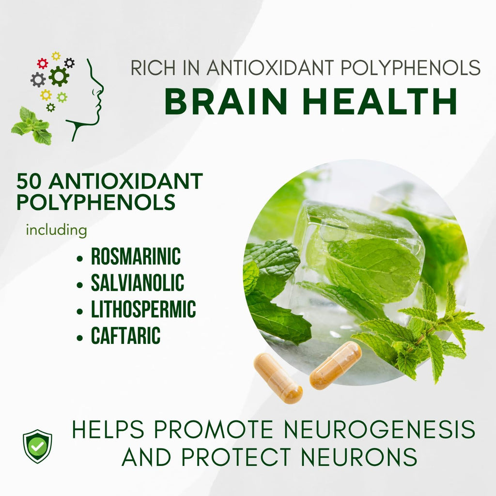 Brain Aid Memory Matters – Nootropic Brain Supplement with Neumentix Spearmint Extract for Cognitive Support, Focus, Concentration, and Memory – 90 Capsules