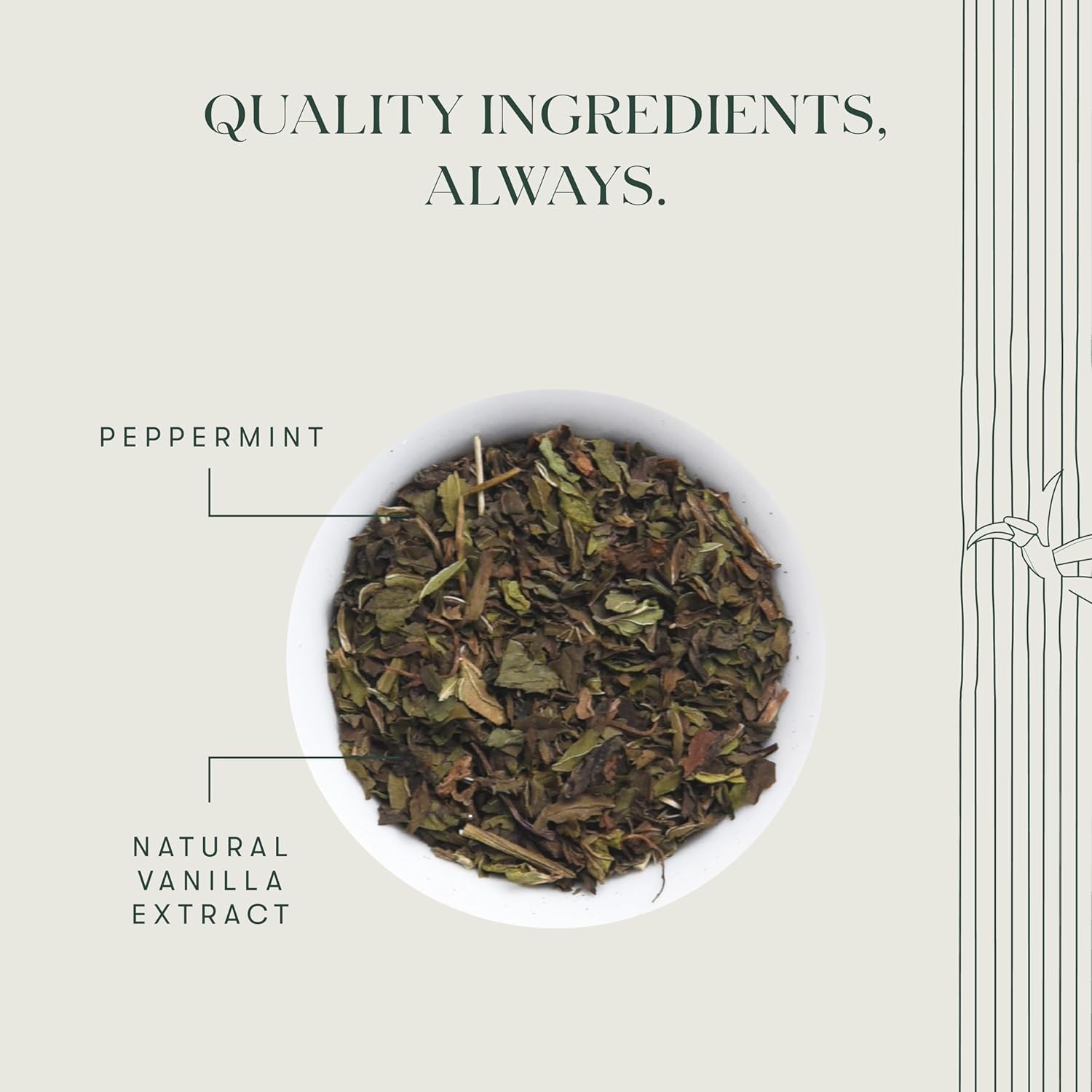Luxmi Estates Vanilla Peppermint Organic Peppermint Tea (50 Tea Bags) Caffeine Free Tea Bags For Relaxing, Calming, and Stress Relief, With Certified Organic Herbal Tea