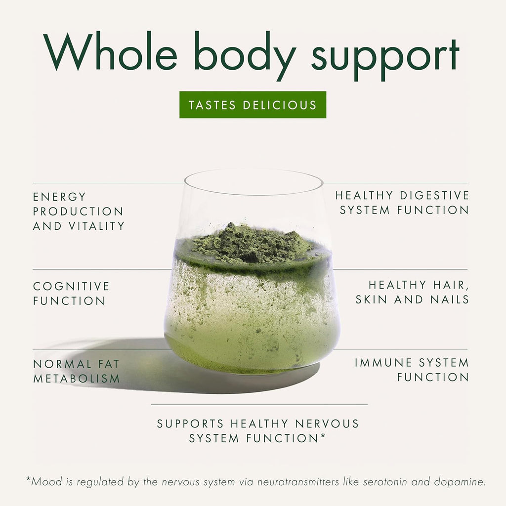 WelleCo The Super Elixir Daily Greens Powder, Probiotic Drink Mix with Whole Foods, Gluten Free, Vegan Gut Health Powder, Energy, Immunity, Healthy Skin, Hair & Nails (300g, Pineapple & Lime Jar)