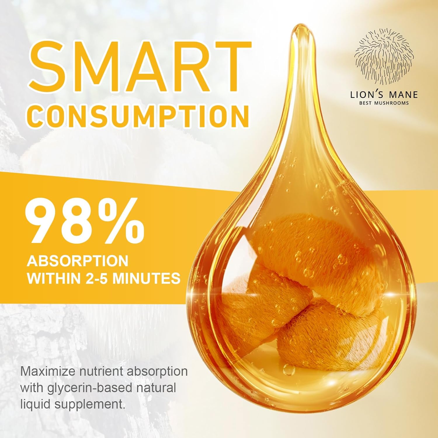 Lions Mane Mushroom Drops - 2Pack, Brain Supplement 120,000 MG, Brain Vitamins, Enhance Memory & Focus & Immunity, 4 Oz