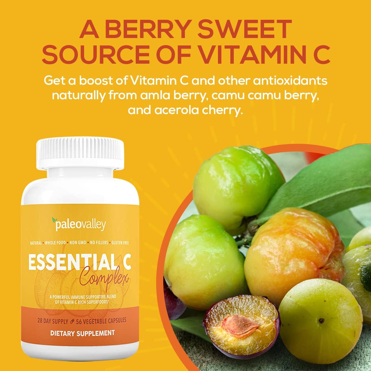 Paleovalley Essential C Complex - Vitamin C Supplement for Immune Support - 1 Pack, 450mg - Organic Superfoods Unripe Acerola Cherry, Camu Camu, Amla Berry - No Synthetic Ascorbic Acid - USA Made