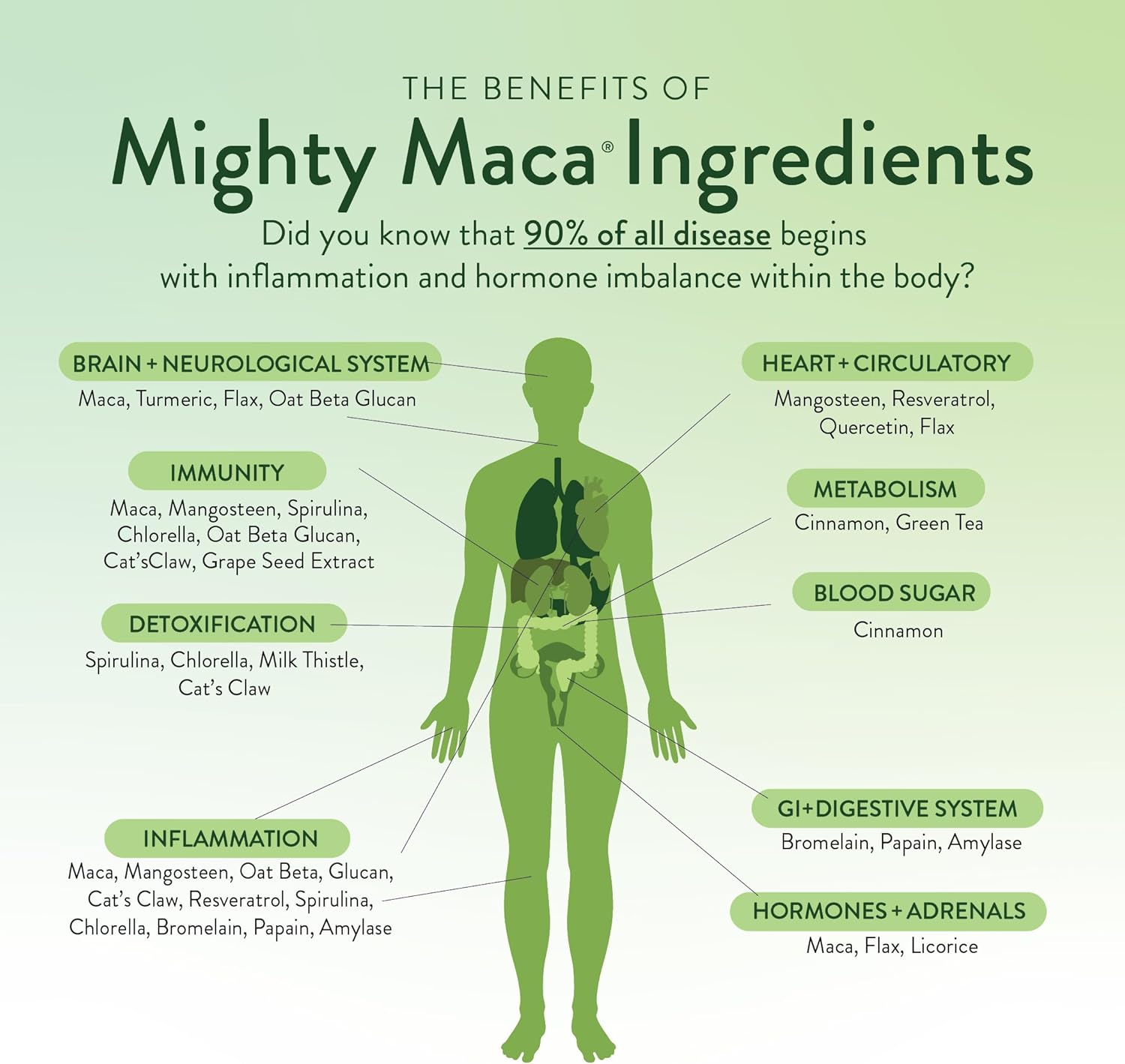 Mighty Maca Plus Mango by Dr. Anna Cabeca – Superfood Greens Powder for Daily Energy & Vitality – Sugar-Free, Vegan, Alkaline, 30-Day Supply