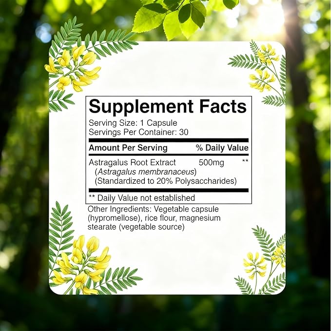 RenalPath Astragalus Root Supplement – Supports Overall Kidney Wellness, Traditional Herbal Ingredient Used for 2,000+ Years, Daily Renal Support, Vegan, Gluten-Free. (1pc)