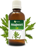 Salvia Mugwort (Artemisia vulgaris) Oil - 15ml/0.507Fl Oz