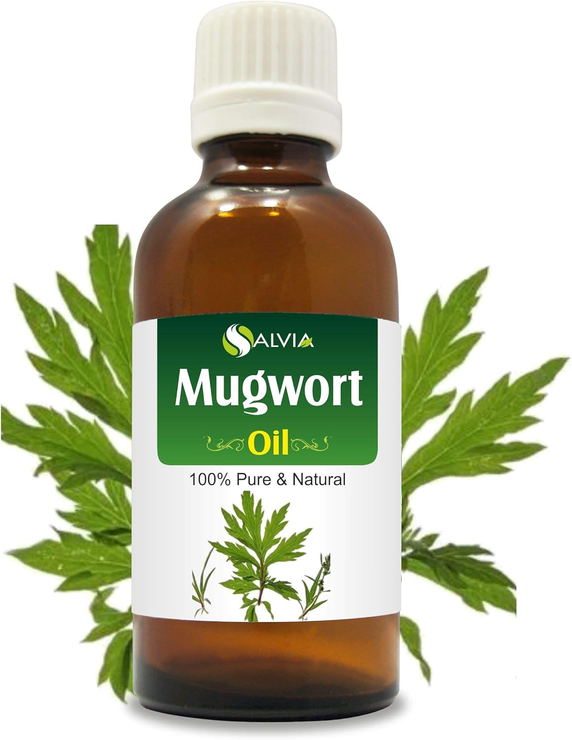 Salvia Mugwort (Artemisia vulgaris) Oil | Pure & Natural Undiluted Steam Distilled Essential Oil - 30ml