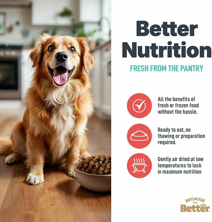 Because It's Better Slow Baked and Air Dried Dog Food, Real Beef and Veggies, 1lb Bag, Complete and Balanced Dry Dog Food, for All Life Stages