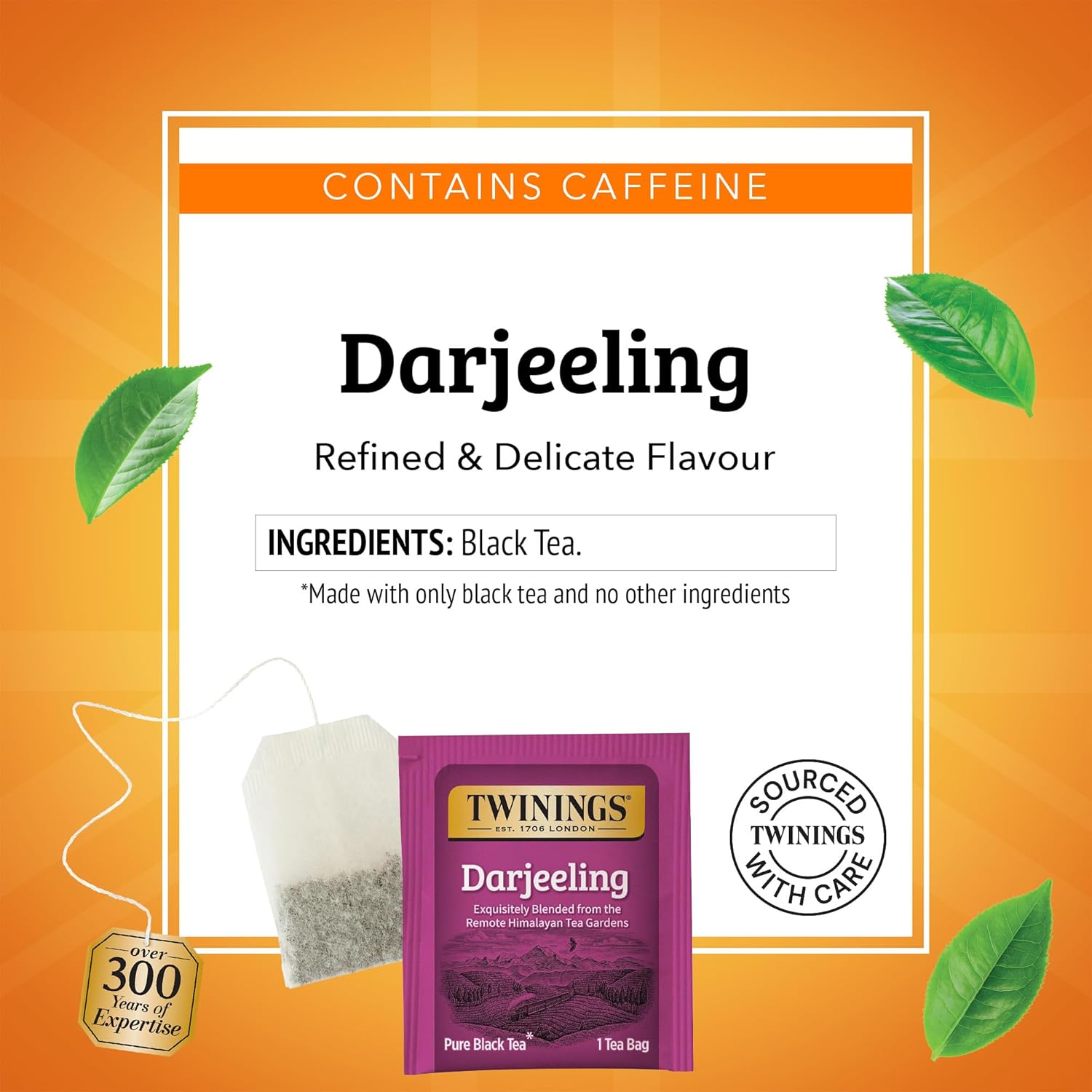 Twinings Darjeeling Black Tea Individually Wrapped Bags, 20 Count (Pack of 1), Delicate Light Taste, Caffeinated, Enjoy Hot or Iced, 20 Teabags