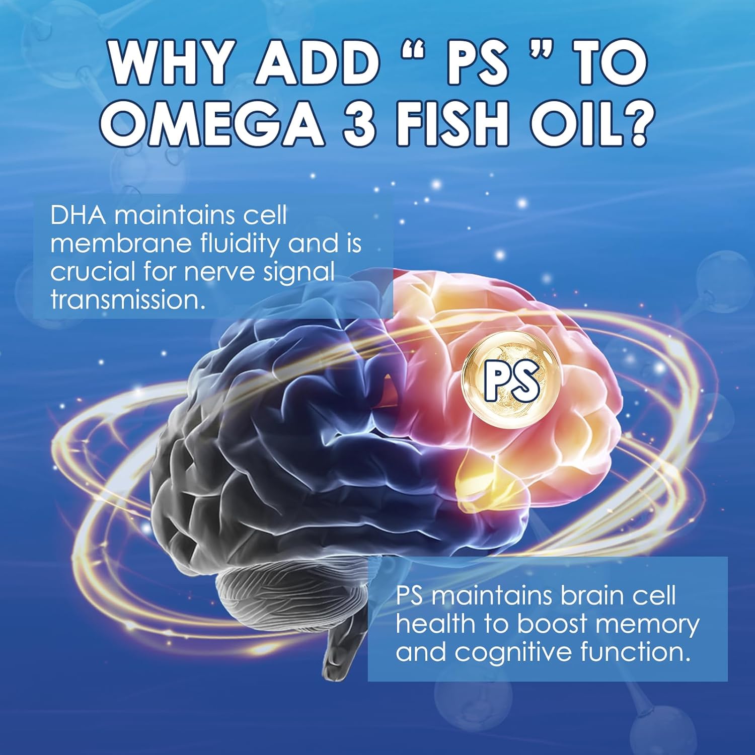 NATURE TARGET Omega 3 Fish Oil 1600mg, High-Purity Omega 3 EPA DHA with PS & CoQ10, Fish Oil Supplements for Heart Health, Brain Function & Memory, Advanced Absorption, Non-GMO, 120 Softgels.