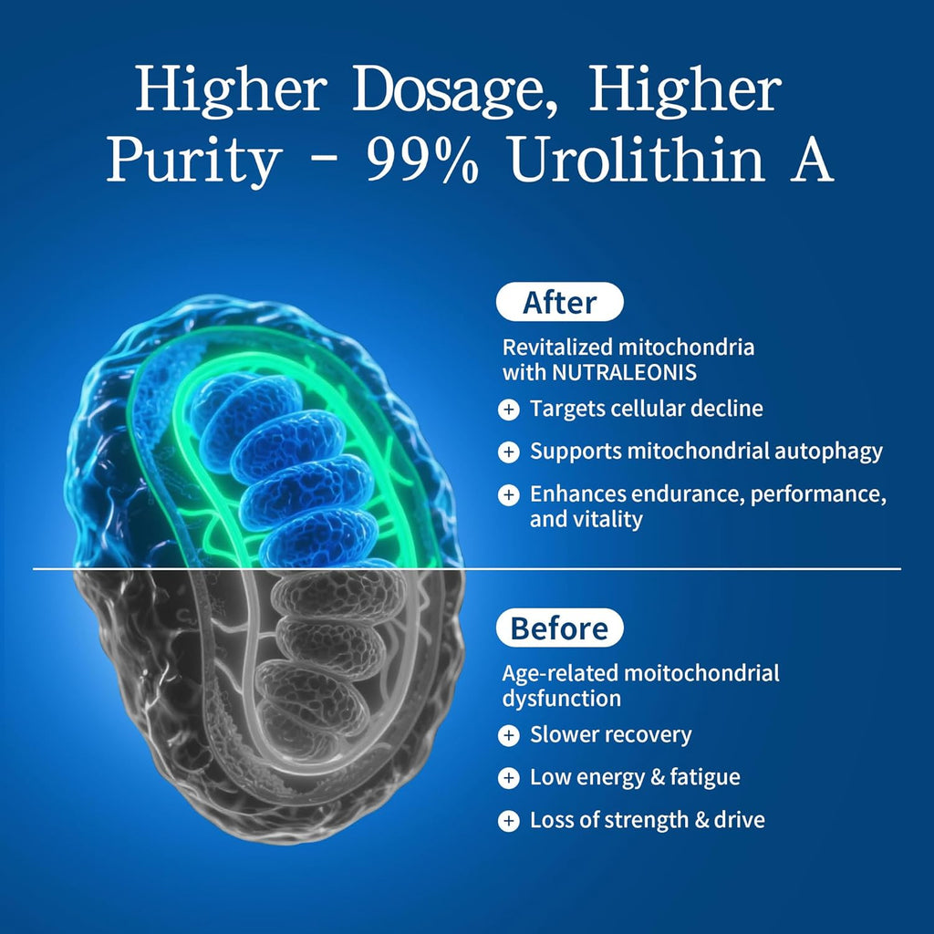 Urolithin A Supplement 1000 mg - 60 Capsules | Mitochondrial Support with NAD+ & PQQ | Boosts Cellular Energy and Rejuvenation | 99% Pure Urolithin A