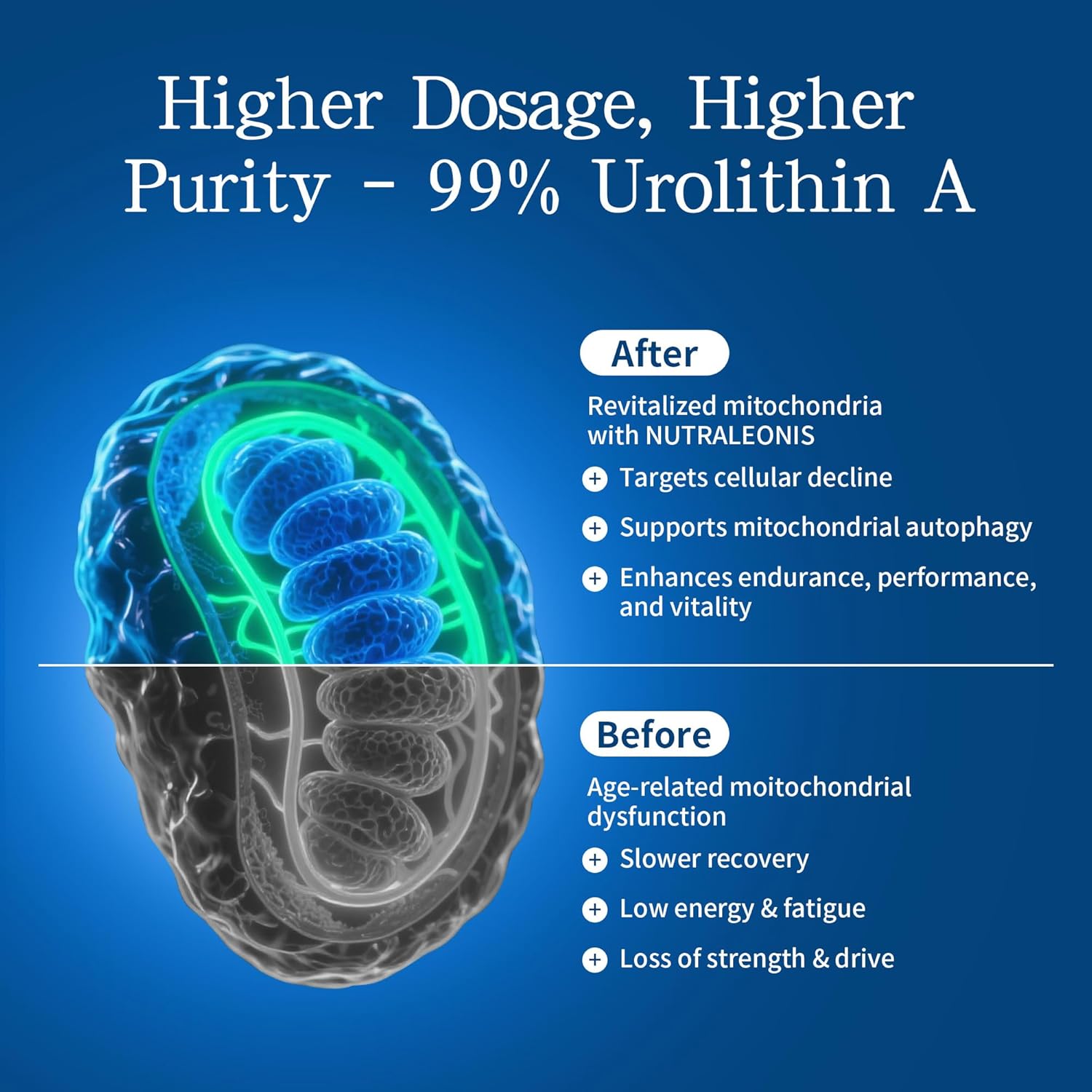 Urolithin A Supplement 1000 mg - 60 Capsules | Mitochondrial Support with NAD+ & PQQ | Boosts Cellular Energy and Rejuvenation | 99% Pure Urolithin A