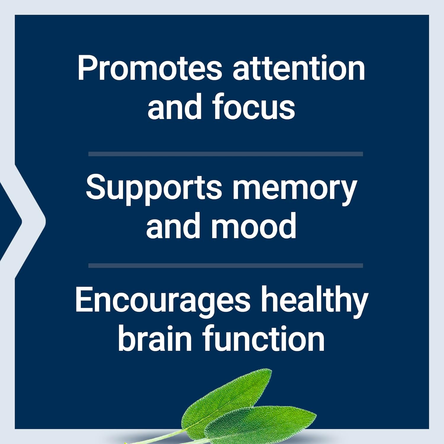 Life Extension Cognitex Elite Pregnenolone- Brain Health Supplement for Memory, Focus & Cognition- Formula with Phosphatidylserine, Ashwagandha & SAGE Extract, Calcium + More- 60 Vegetarian Tablets
