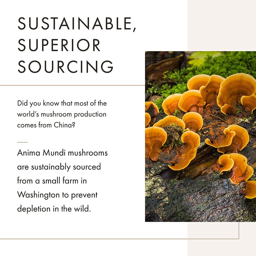 Anima Mundi Apothecary Soma 7 Mushroom Adaptogenic Elixir - Mushroom Liquid Extract Tincture with Reishi, Chaga, Lions Mane & Cordyceps - Vegan Immune Support Tincture (2oz)