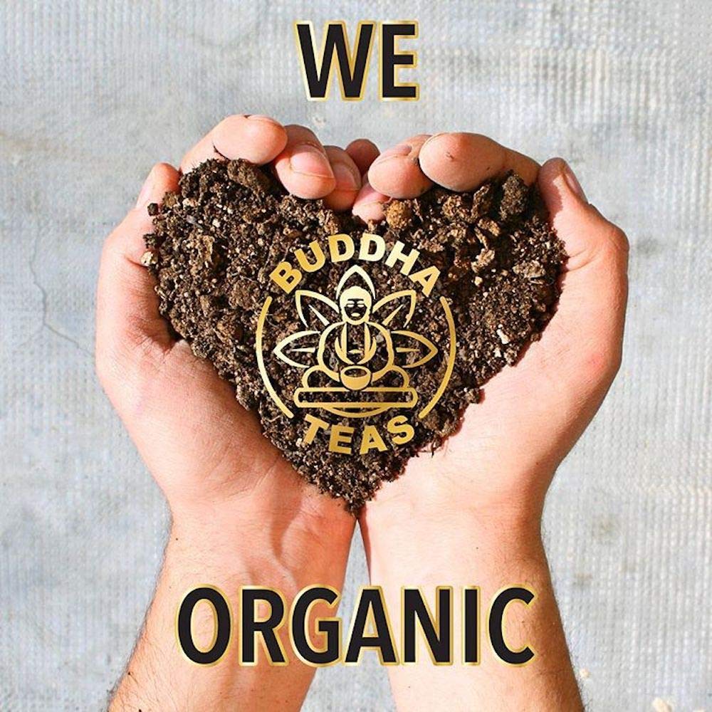 Buddha Teas Organic Bilberry Leaf Tea - OU Kosher, USDA Organic, CCOF, 18 Bleach-Free Tea Bags