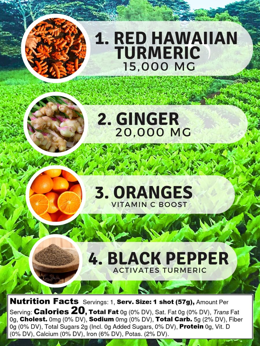 Elixir Shots, Immunity Boost Wellness Shot with Cold-Pressed Turmeric, Ginger, Orange and Black Pepper, No Added Sugars or Artificial Ingredients,12-pack