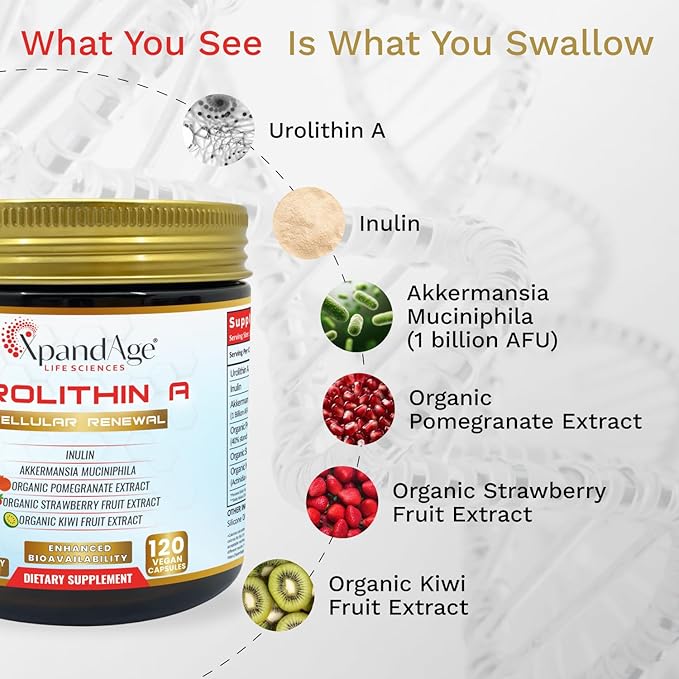 Xpandage Advanced Urolithin A 1000mg with Akkermansia probiotic, Inulin, Organic Pomegranate, Strawberry and Kiwi for Cellular Health, Healthy Gut, Mitochondrial Health& Healthy A*g*i*n*g.