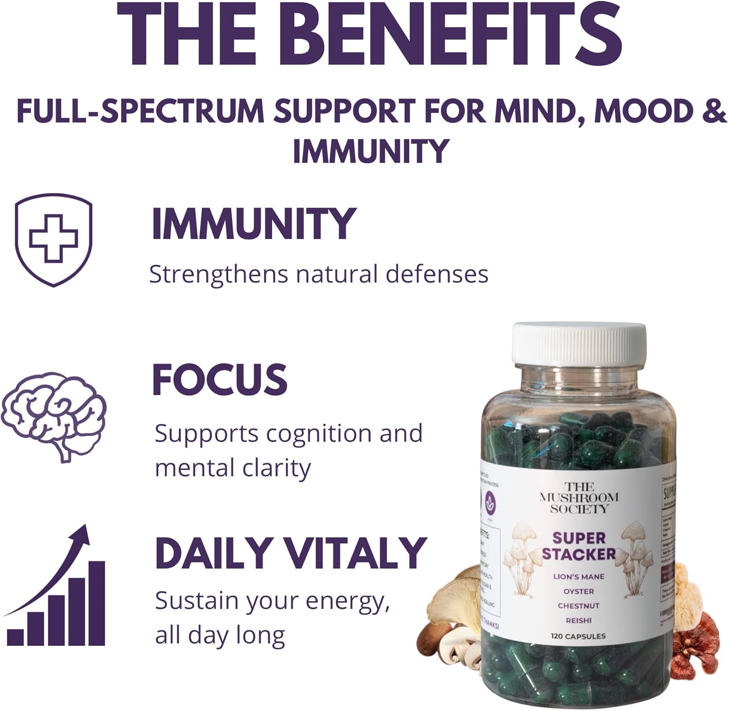 Super Stacker - 4-in-1 Mushroom Supplement Wellness Blend - Lion’s Mane, Oyster, Chestnut & Reishi - Immune, Focus & Daily Vitality - 120 Vegan Capsules