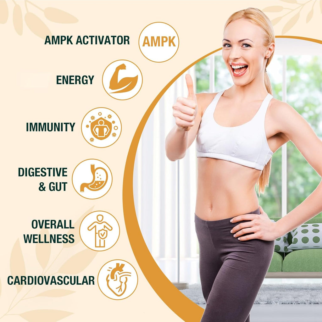 Liposomal Berberine HCL Supplement Liquid 3000mg - High Absorption Berberine Drops with Ceylon Cinnamon - 12-in-1 Formula AMPK Activator, Sugar Free - 2 fl oz