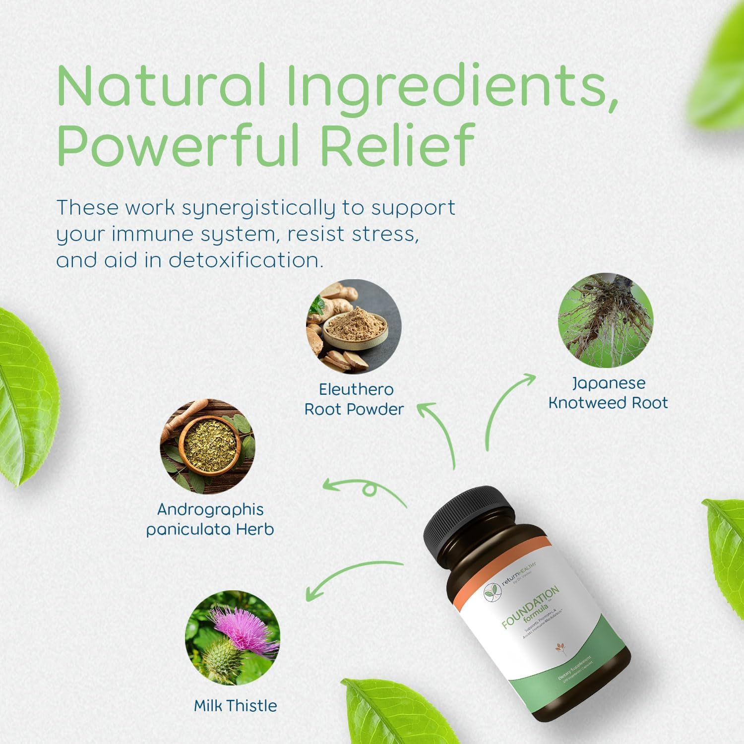 Foundation Formula | Tick Immune Support Supplement | with Japanese Knotweed Root, Cat's Claw, Milk Thistle | Resveratrol Supplement | Non-GMO, All-Natural & Vegetarian, 270 Capsules