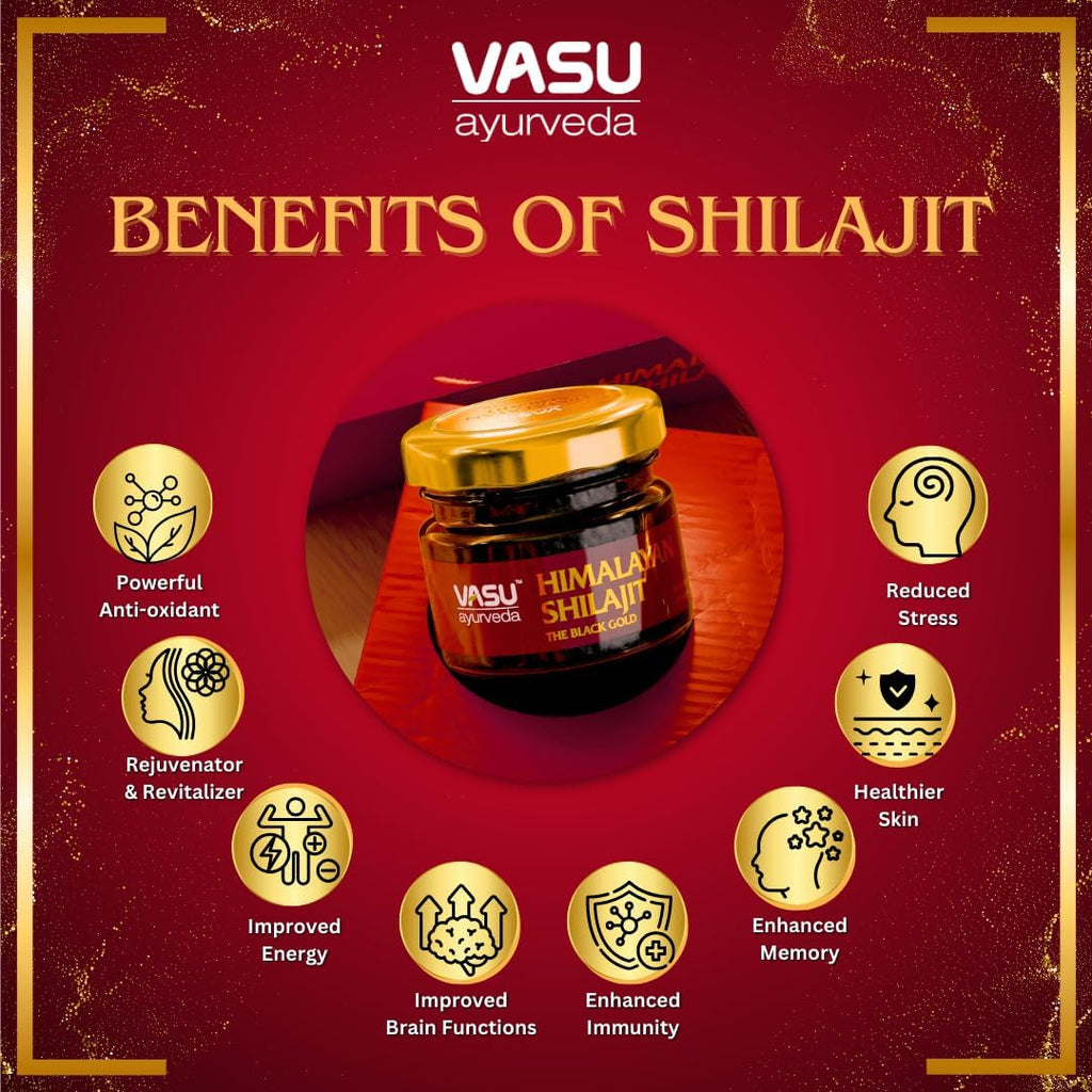 VASU Ayurveda Himalayan Shilajit Resin 400mg – Lab Tested Natural Energy Booster with Fulvic Acid & 85+ Trace Minerals – Pure Shilajit for Men & Women – 100 Days Supply for Strength & Stamina (2-Pack)