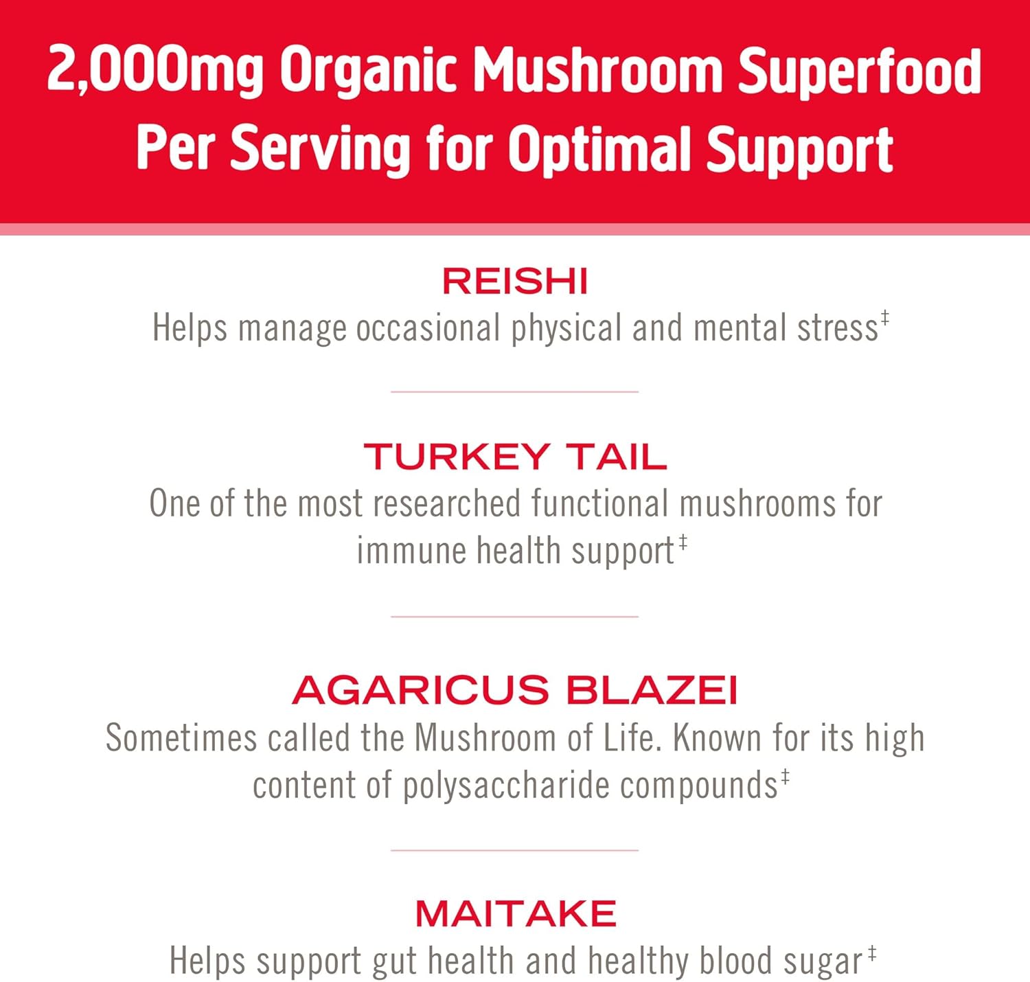 OM MUSHROOM SUPERFOOD Immune Blend Mushroom Powder Superfood Supplement, 7.05 Ounce Pouch, 100 Servings, Mushroom Blend, Reishi & Turkey Tail; Daily Immune Support Supplement