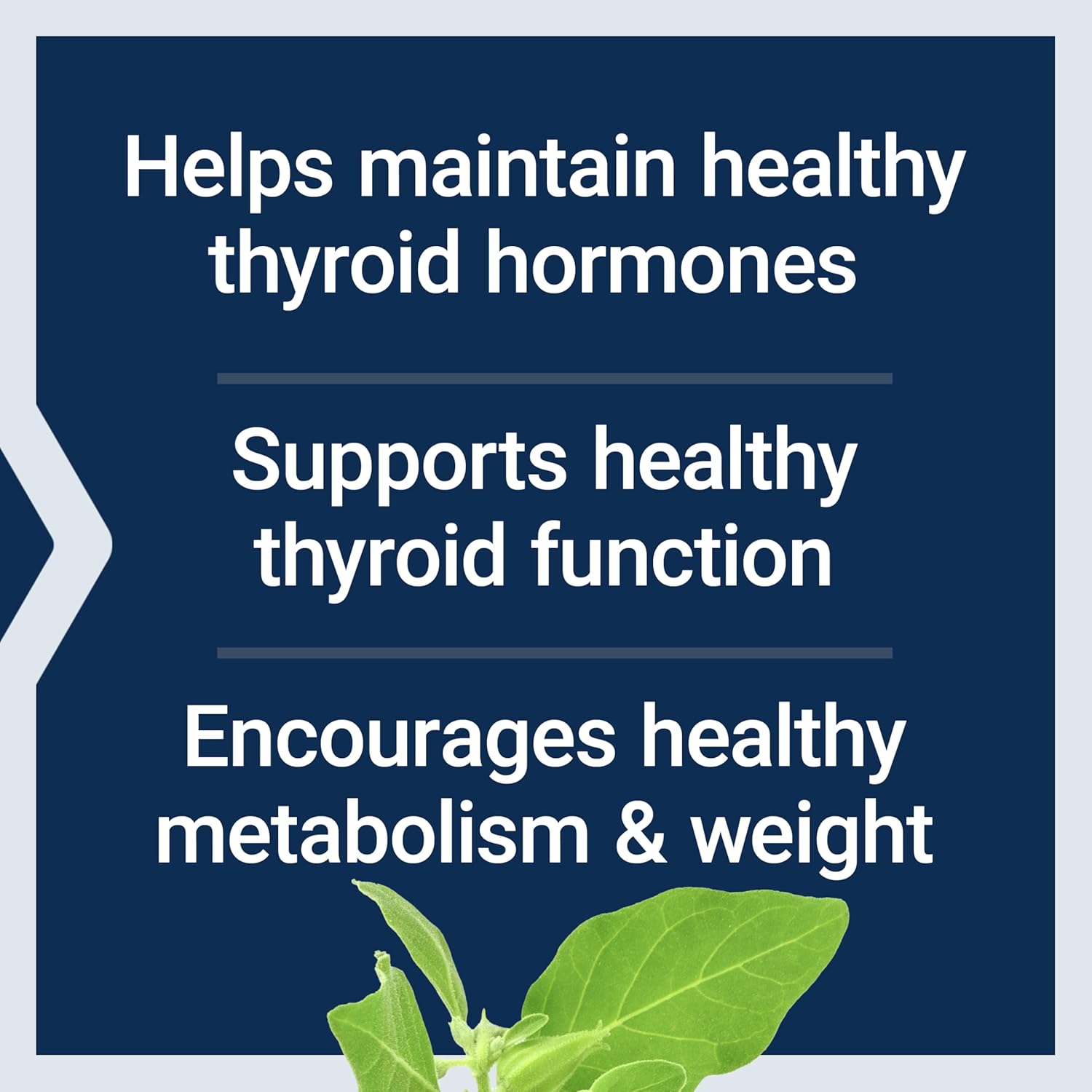 Life Extension Thyroid Support Complex - Thyroid Health Support Supplement with Vitamins A, B, Iodine, Magnesium, L-Tyrosine, Ashwagandha & Ginseng for Energy – Non-GMO, Gluten-Free - 60 Capsules