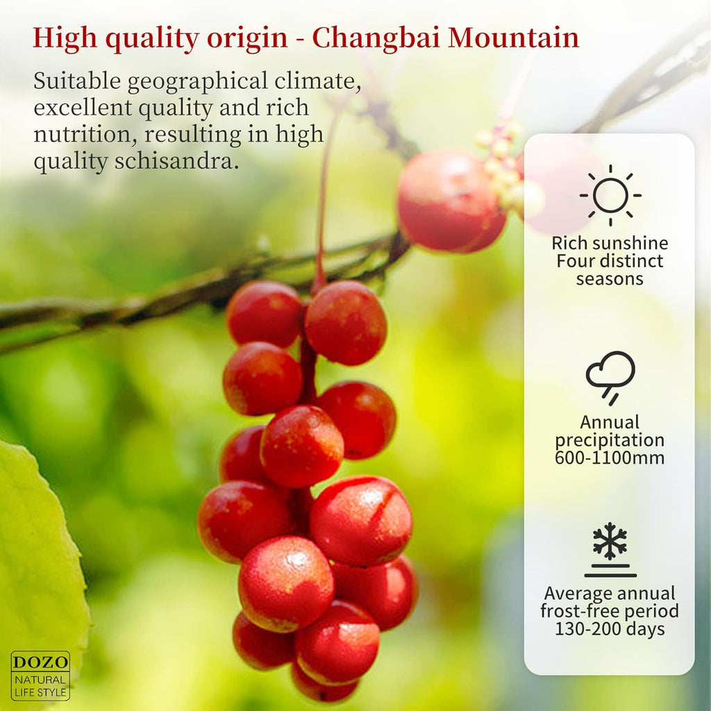 DOZO Schisandra Berry Dried Schisandra Chinensis 7.76oz/220g Schisandra Berry Tea Dried Omija Tea Whole Berries Dried Loose Berry Herbs Pure Natural Wu Wei Zi Caffeine Free 五味子