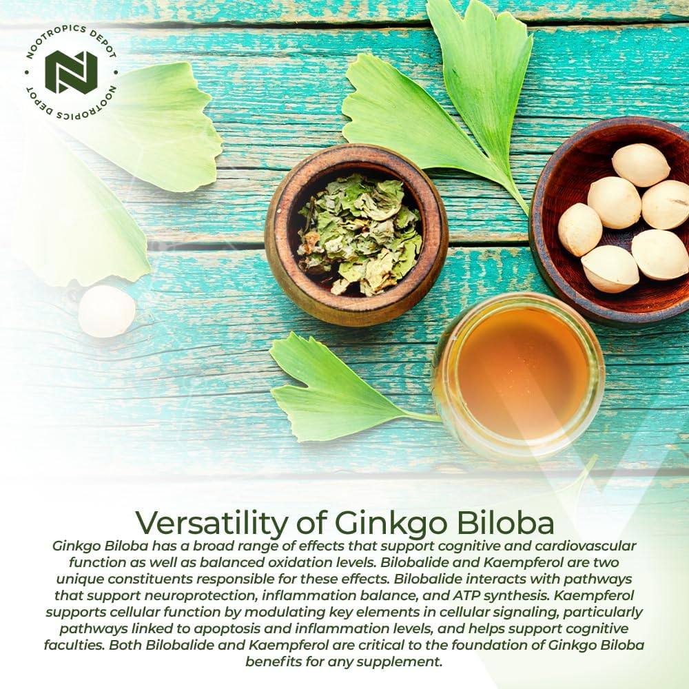 Nootropics Depot Ginkgo Biloba Extract Tablets | 120mg | 365 Count | Minimum 10% Kaempferol Glycoside + 2% Bilobalide | May Help Promote Cognitive & Cardiovascular Function