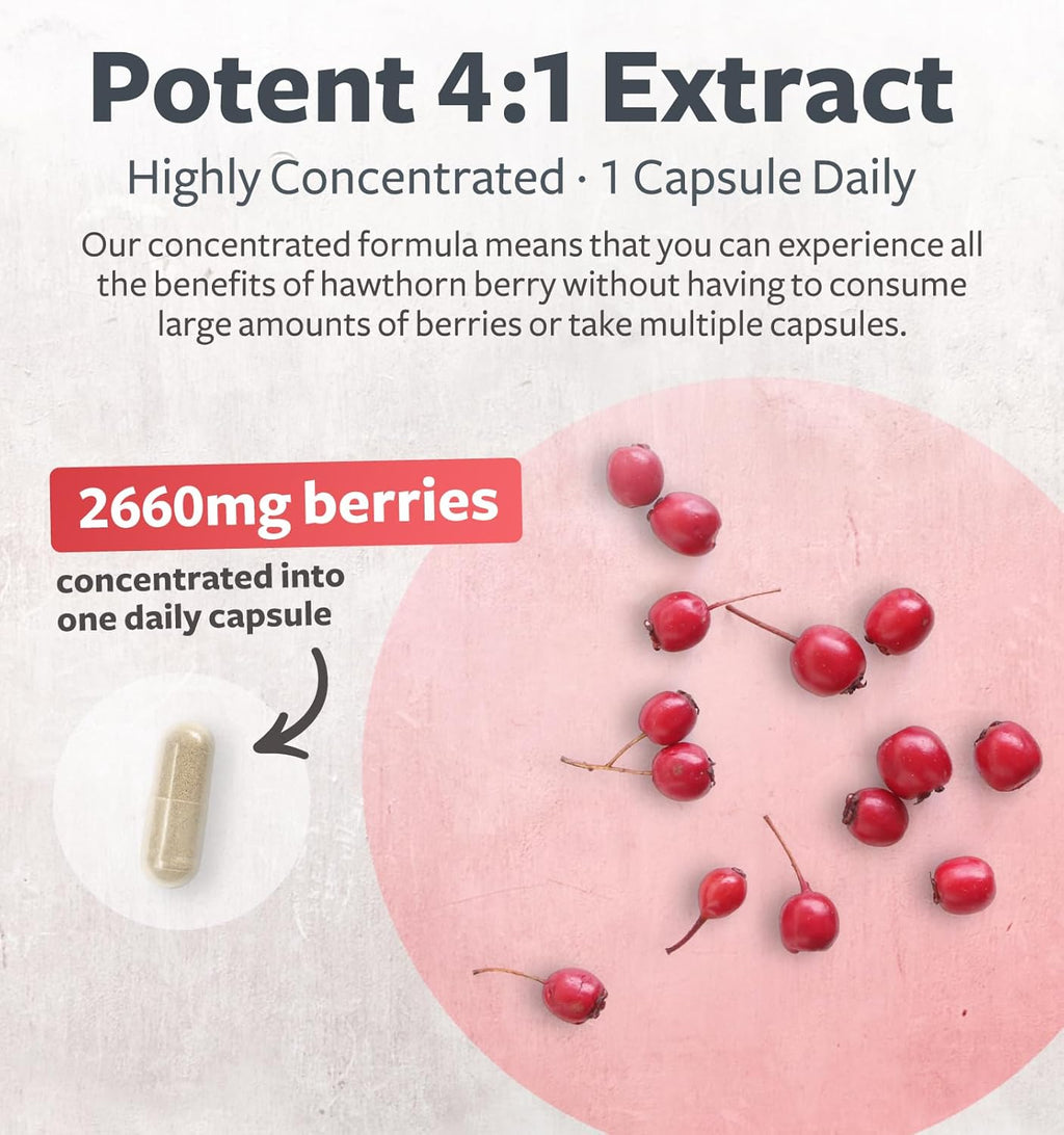 Super Potent Hawthorn Berry Extract Capsules - Hawthorn Berry Supplement Made from Extra Strength Concentrate to Support Heart and Digestive Health - Vegan Non-GMO & Gluten Free (6 Month Supply)