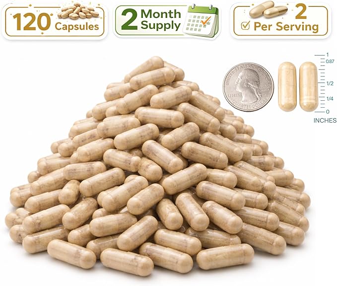 Lion’s Mane Supplement Capsules 1000mg – Organic Mushroom Complex with Alpha GPC – Daily Wellness & General Vitality Support – Vegan, Non-GMO, Gluten-Free – Melena de León Orgánico – 120 Capsules