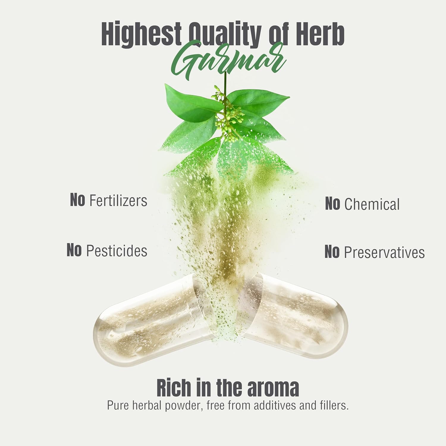 Gurmar Capsules | Gymnema Sylvestre Herbal Supplement | 7:1 Concentrated Extract | Supports Healthy Lifestyle | 60 Veg Capsules | Non-GMO & Vegan