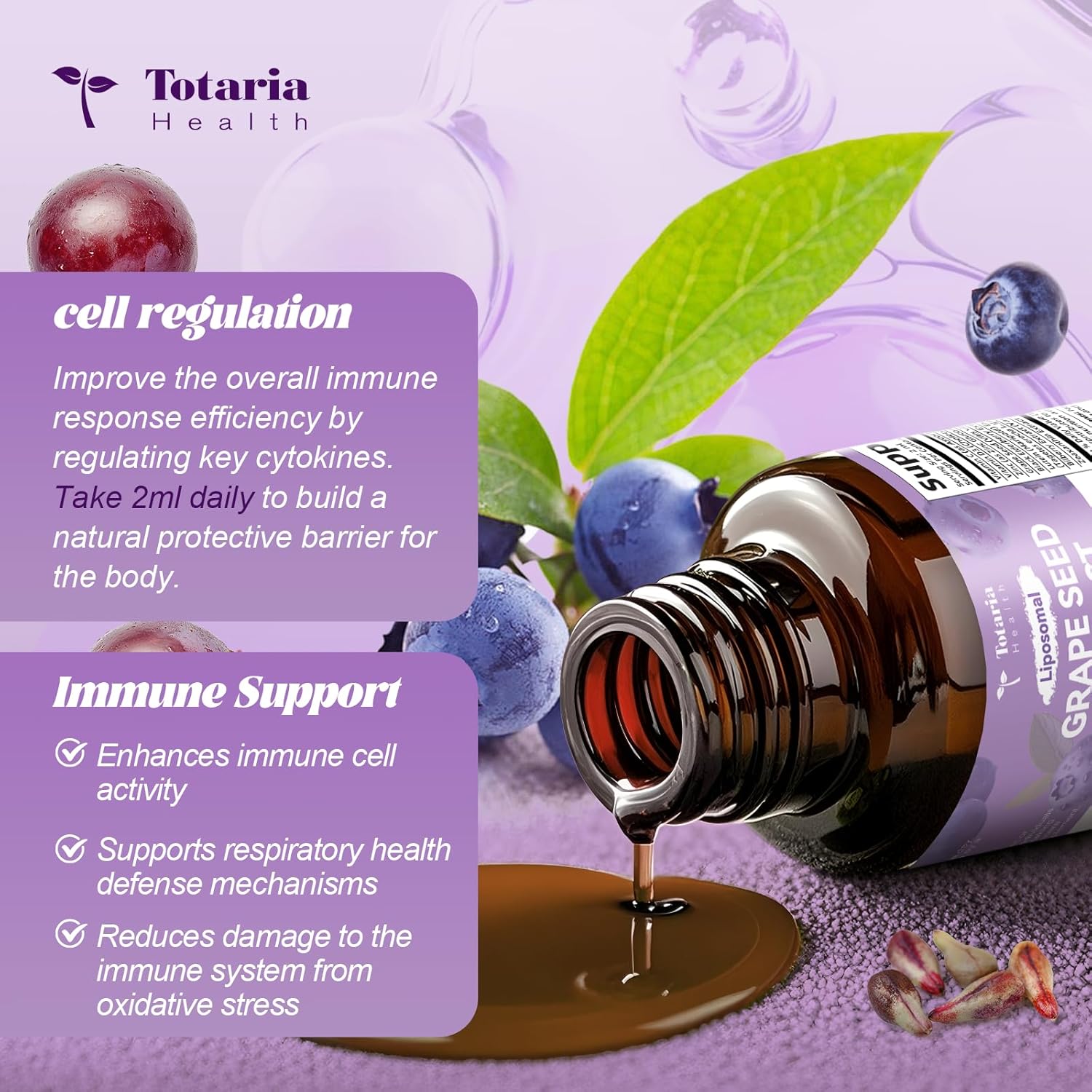 2 Pack Grape Seed Extract Liquid Drops | High Potency 95% Polyphenols Antioxidant Supplement for Skin, Heart & Immune Support | Vegan, Gluten Free | Alcohol-Free & Non-GMO | 4FL