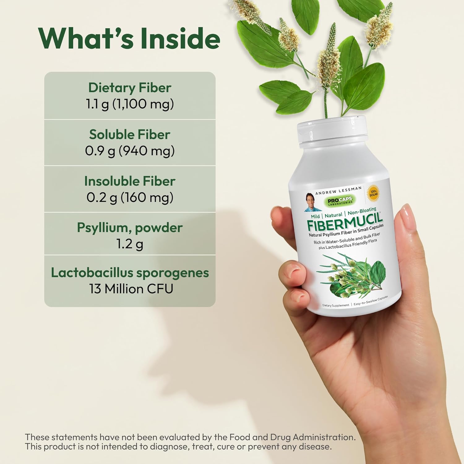 ANDREW LESSMAN Fibermucil Capsules -Psyllium Husk Powder. Gently Promotes Regularity and Digestive Health. Rich in Fiber. Gentle, Easy, Effective. No Additives. Small Easy to Swallow Capsules